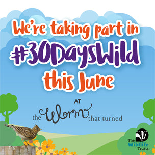 Embracing Nature: The Worm that Turned Joins the 30 Days Wild Challenge