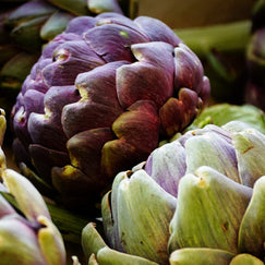 Fermob Trends 2025 - Precious Nature