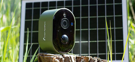 Wildlife Observation