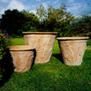 Fern Planters