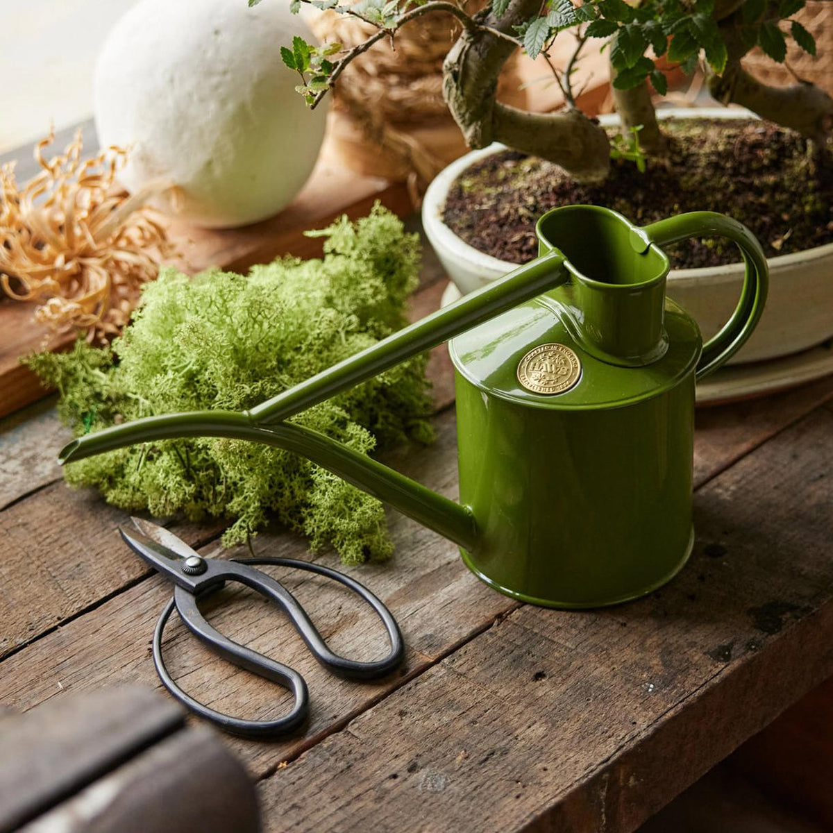house plant watering can Haws Fazeley Flow Indoor Watering Can