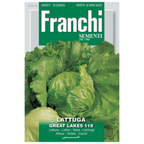 Lettuce - Great Lakes Seeds
