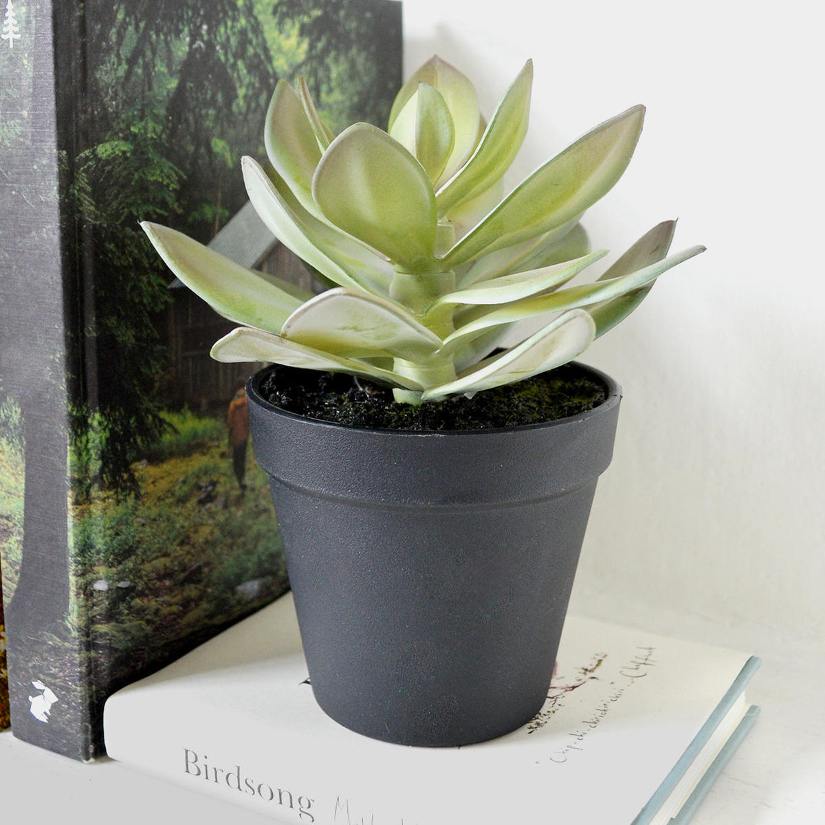 faux succulent plants uk Small Faux Succulent in pot