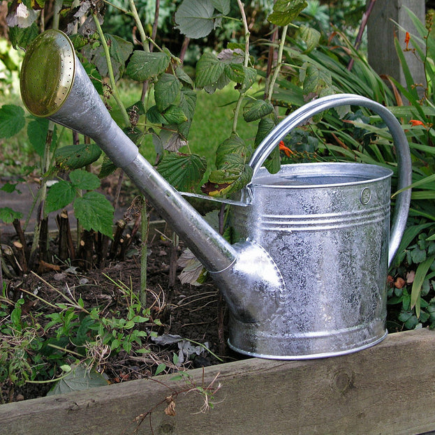 Galvanised Watering Can (4646489391164)
