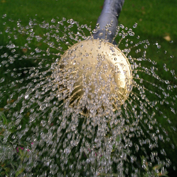 Galvanised Watering Can (4646489391164)