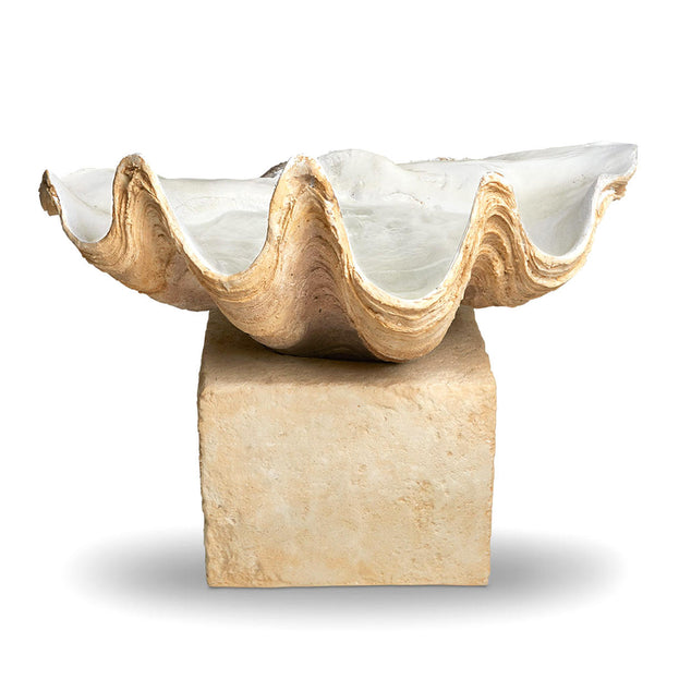 Clam Shell Water Fountain (4651958730812)