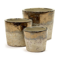 Conic Cream and Gold Indoor Pots (4650075521084)
