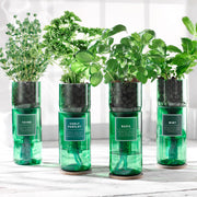 Hydro-Herb Growing Kits