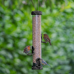 Deluxe Flo Lifetime Bird Seed Feeder