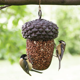 Acorn Bird Feeder