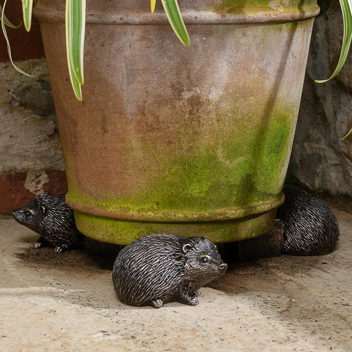 hedgehog succulent pot Buy Hedgehog Plant Pot Feet - Set of 3 — The Worm that Turned