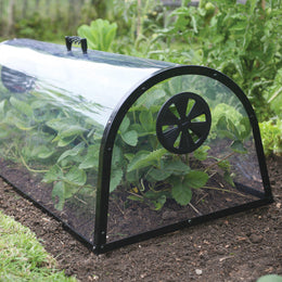 Kitchen Garden Cloche