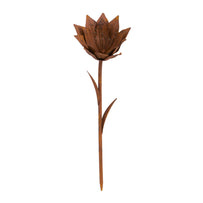 Rusty Lily Garden Flower (4651922882620)