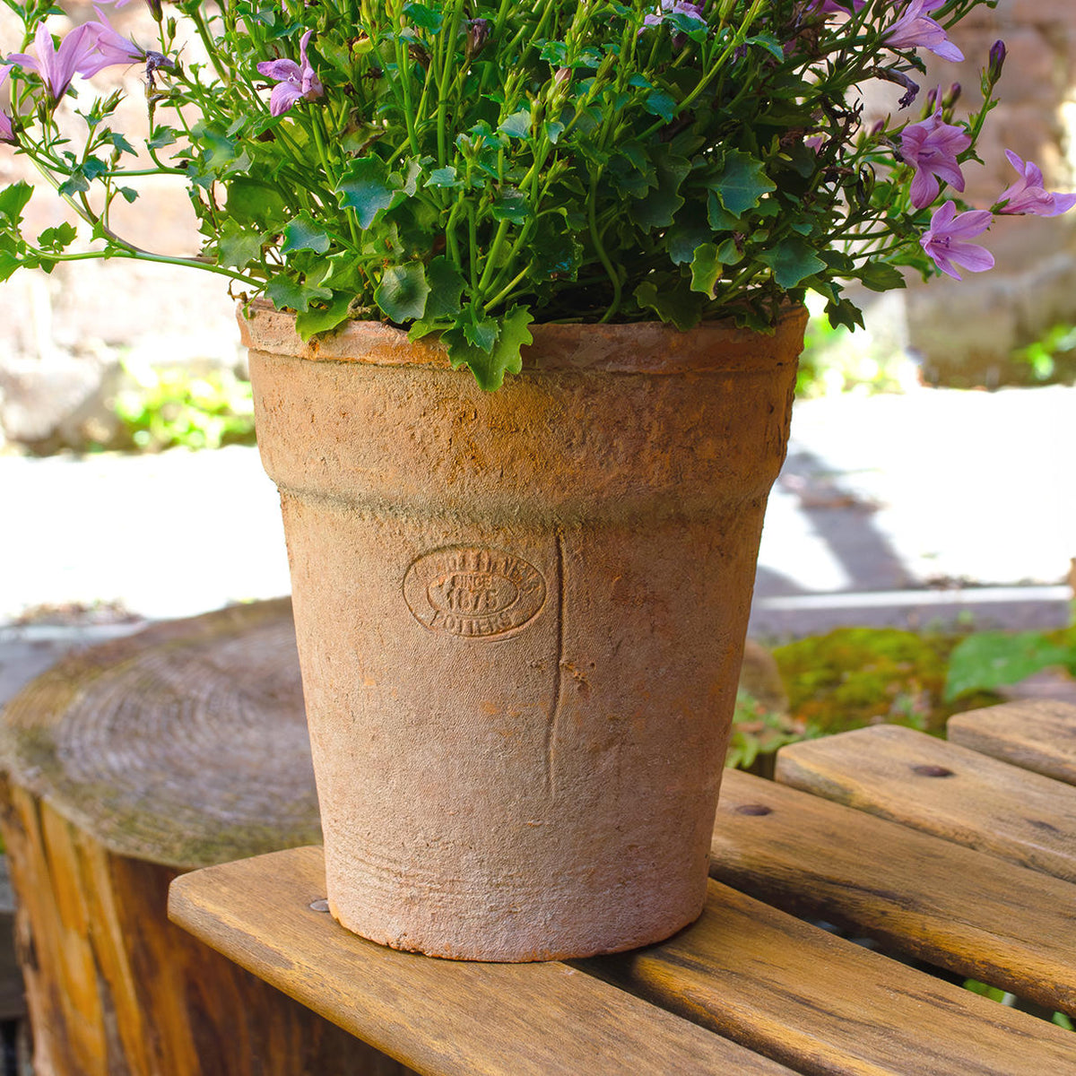 long tom terracotta plant pots Aged Terracotta Long Tom Pot