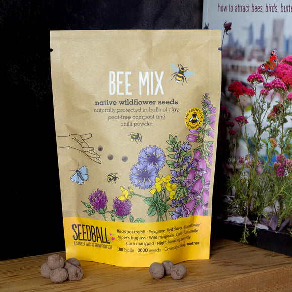 Bee Mix Seed Balls Grab Bag (7150372323388)