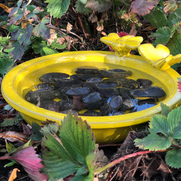 Bee and Butterfly Bath