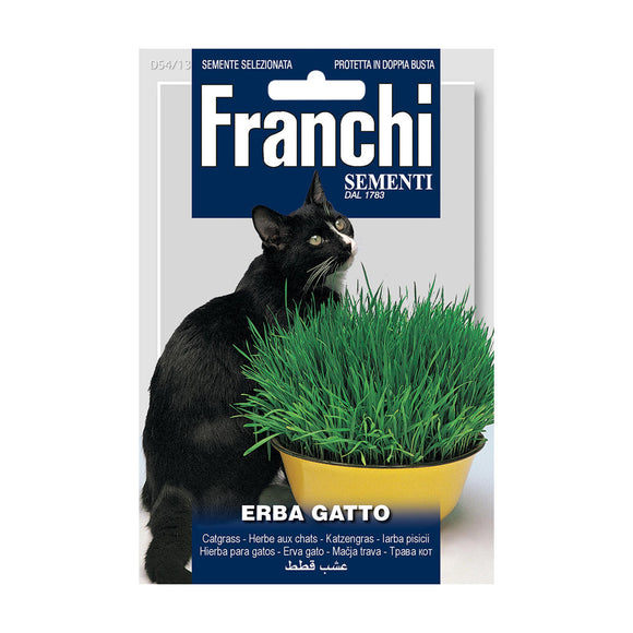 Cat Grass Seeds (7103825543228)