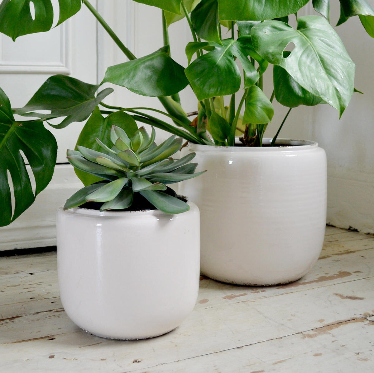 white ceramic plant pots indoor Ceramic Indoor White Plant Pots