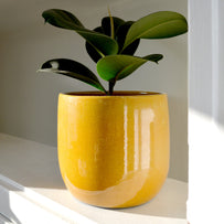 Glazed Yellow Honey Plant Pot (4686339473468)