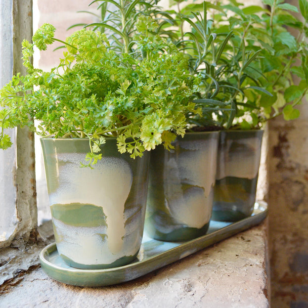 Green Glazed Herb Pots with Saucer (4651176656956)