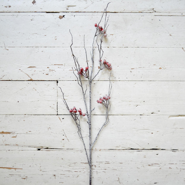 5 Frosted Hawberry Stems (6649939755068)
