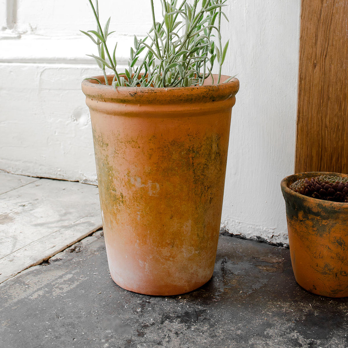 clay plant pots uk Buy Merle Natural Clay Plant Pot — The Worm that Turned
