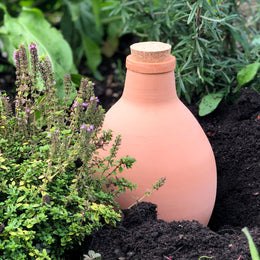 Olla Terracotta Irrigation Pot