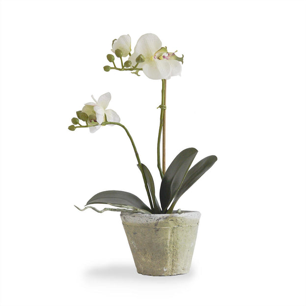 Faux Orchid in Rustic Pot (4649462300732)