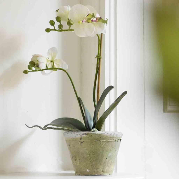 Faux Orchid in Rustic Pot (4649462300732)