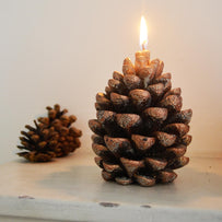 Copper Pine Cone Candle (4651936809020)