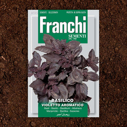 Purple Basil Herb Seeds