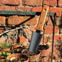 Root and Transplanting Tool