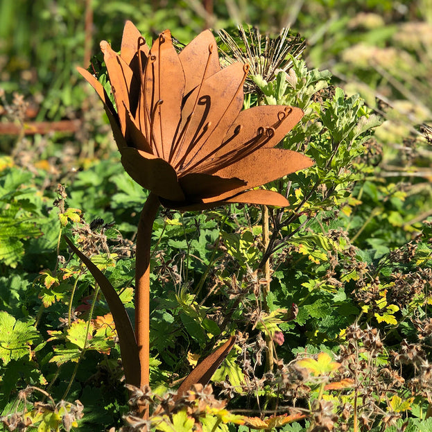Rusty Lily Garden Flower (4651922882620)