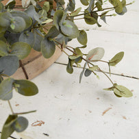 Silk Eucalyptus Stem (4649047752764)
