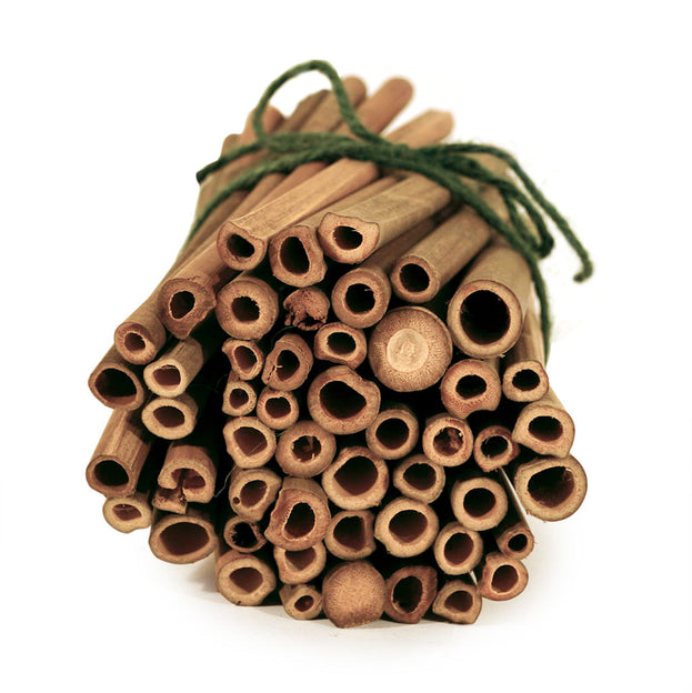 Solitary Bee Nesting Tubes (4649127018556)