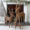 Wicker Reindeer (4646943162428)
