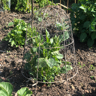 Potager Wire Cloche (4651884052540)