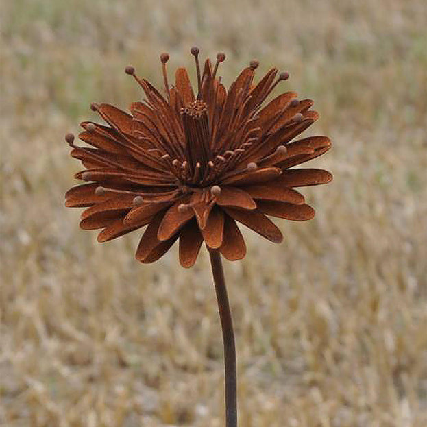 Rusted Aster Flower (6584054743100)