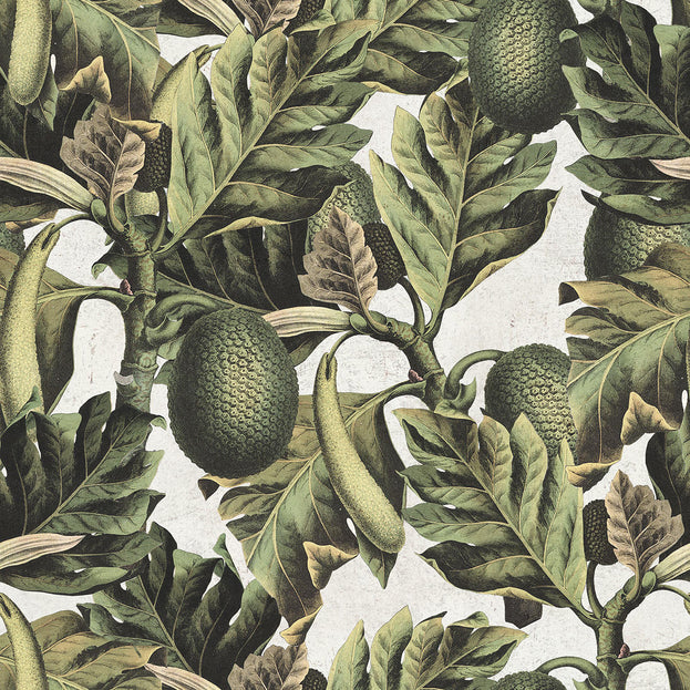 Exotic Fruit No.1 Feature Wallcovering (4651961253948)