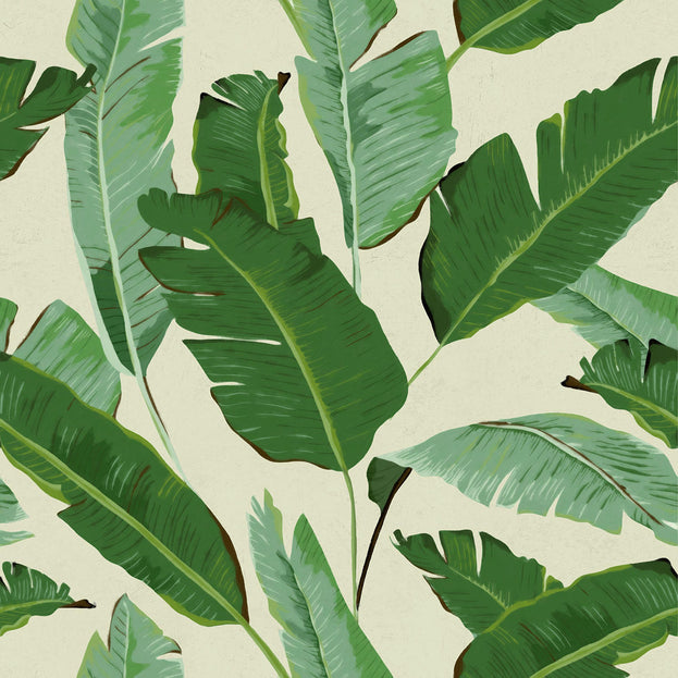 Banana Leaves Feature Wallcovering (4651961909308)