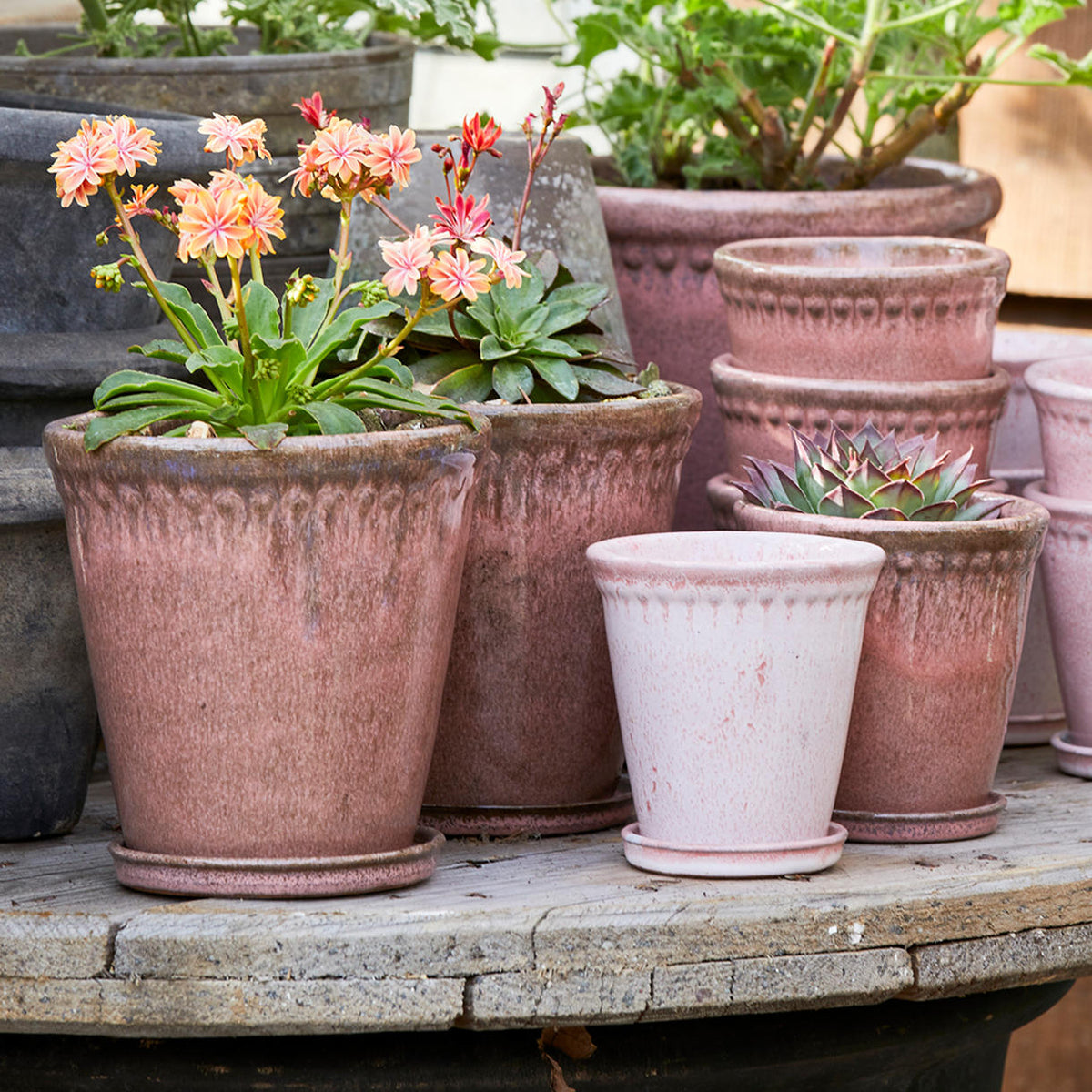 Lacepot Glazed Plant Pot Antiqued Dusty Rose