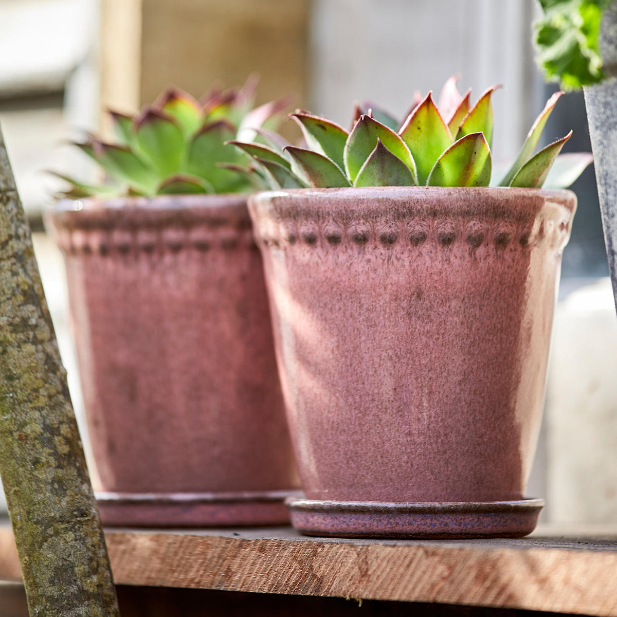 lace plant pot Lacepot Glazed Plant Pot Antiqued Dusty Rose
