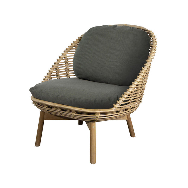 Hive Lounge Chair with Teak Legs