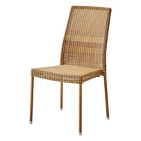 Newman Dining Chairs (4648720465980)