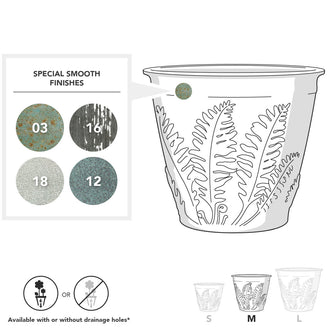 Fern Planters (4649501491260)