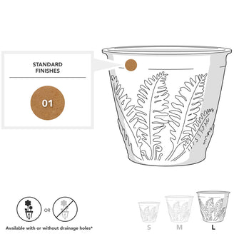 Fern Planters (4649501491260)