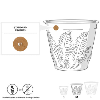Fern Planters (4649501491260)
