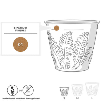 Fern Planters (4649501491260)