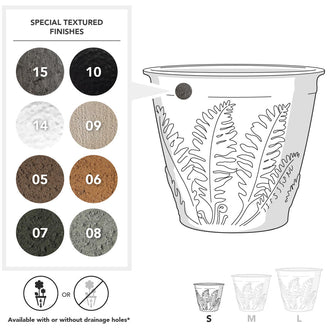 Fern Planters (4649501491260)