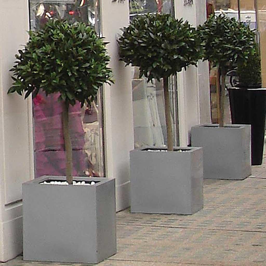Buy Geo Cube Planters — The Worm that Turned